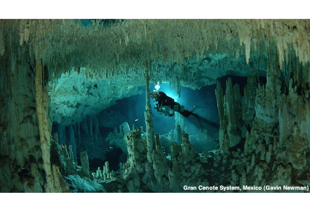 Gran Cenote System, Mexico - The Ghar Parau Foundation (GPF)