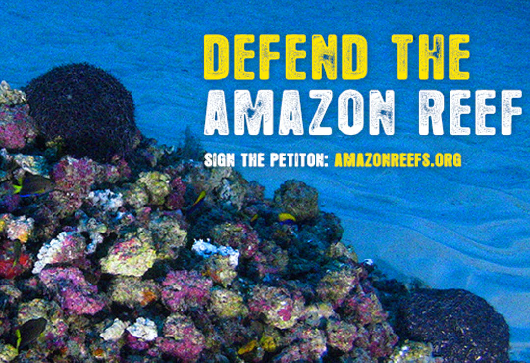 Defend The Amazon Reef