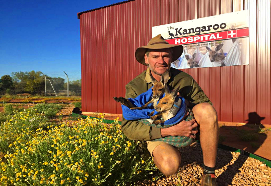 Brogla with a joey Kangaroos