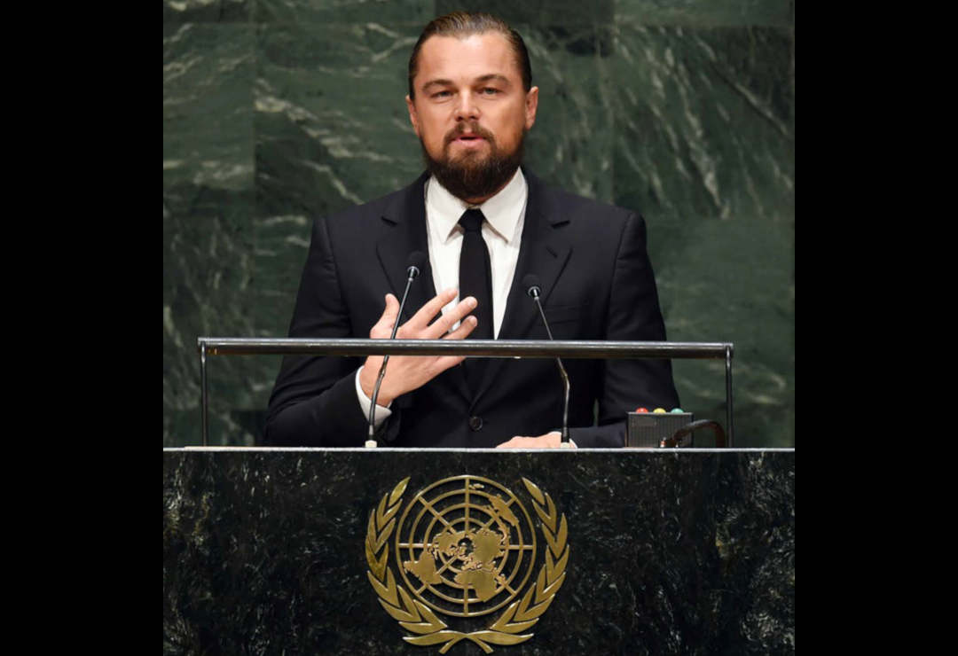 Leonardo DiCaprio Foundation (LDF)