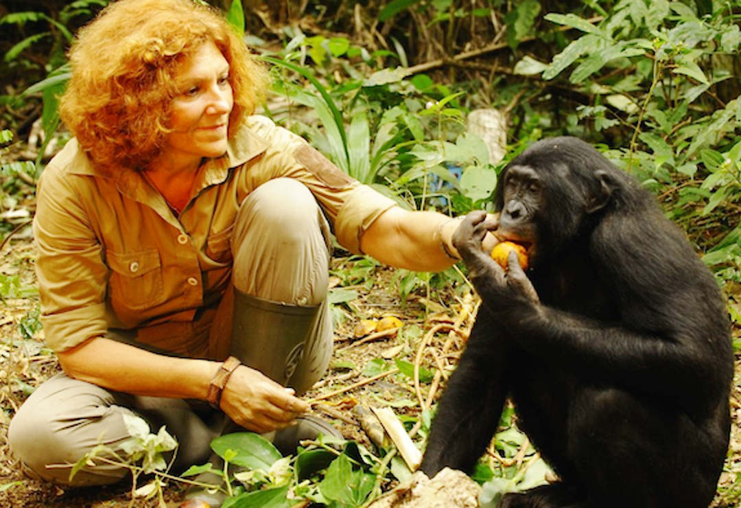 Friends of Bonobos