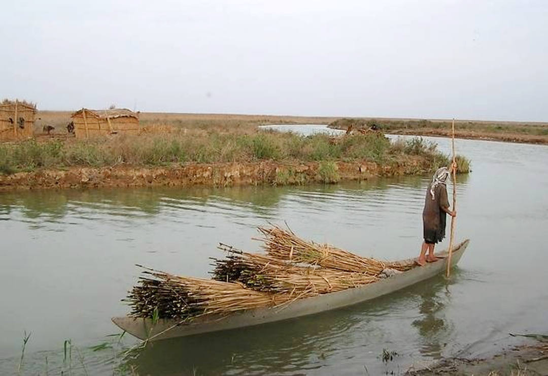 Nature Iraq