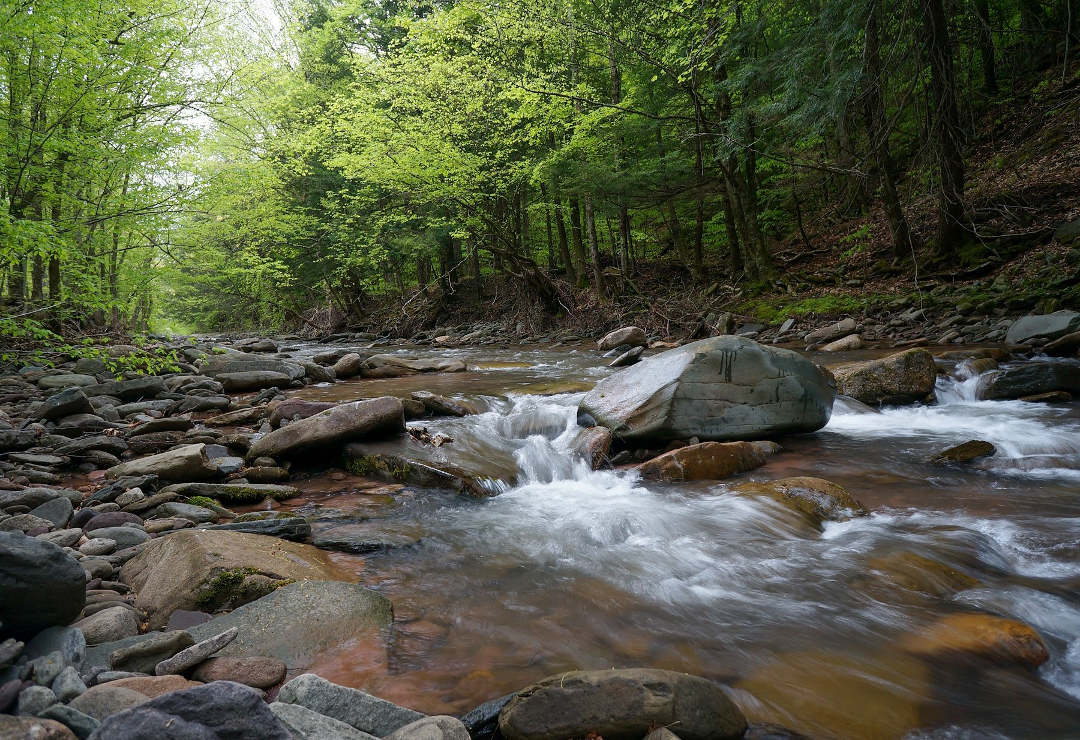 Waterkeeper Alliance